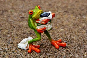 frog errseie